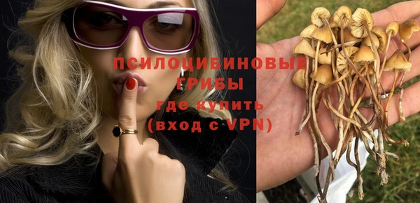 МДМА Лагань