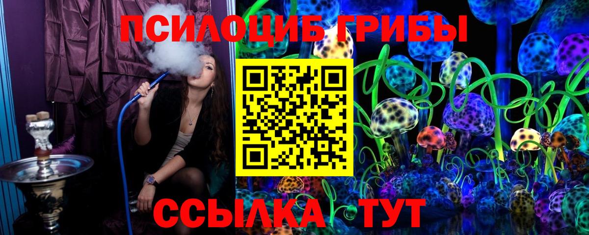 Одинцово  Псилоцибиновые грибы MAGIC MUSHROOMS  хочу   Вход с VPN  Псилоцибиновые грибы Psilocybine cubensis 