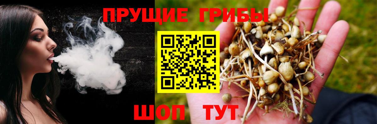 Псилоцибиновые грибы ЛСД Одинцово